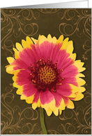 Flower Gold Trim (blank) card