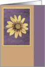 Flower Notes -blank- card