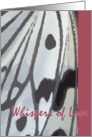 Whispers of Love -blank- card