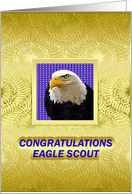 Eagle Scout, The...