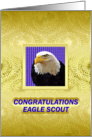 Eagle Scout, The Gold Standard card