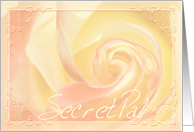 Secret Pal, I miss you, Heart of the Rose card