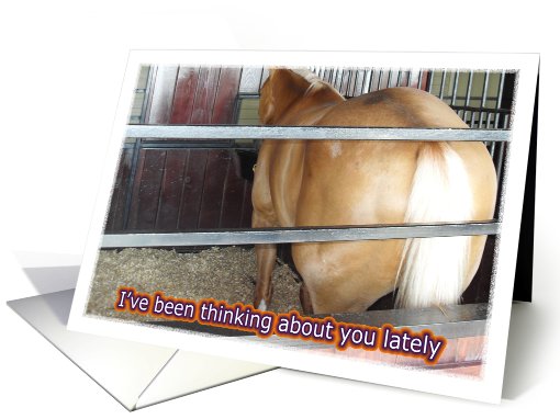 Horse's Butt -humor- card (448305)