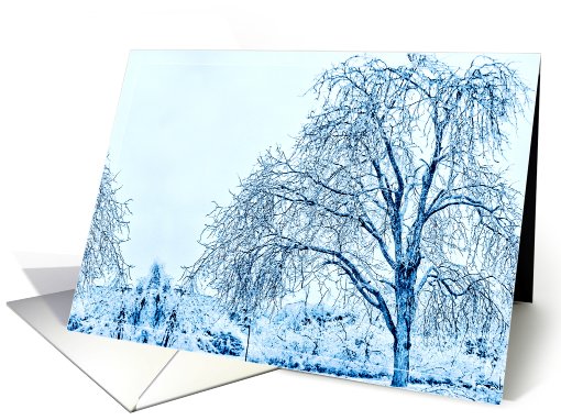 Frozen in Time -Blank- card (448317)