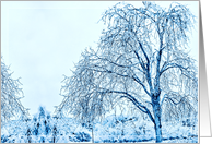 Frozen in Time -Blank- card