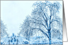 Frozen in Time -Blank- card