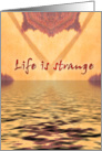 Life is strange card