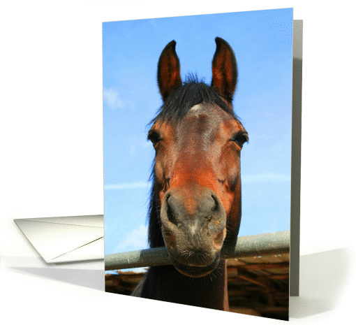 Dark Brown Horse card (321608)
