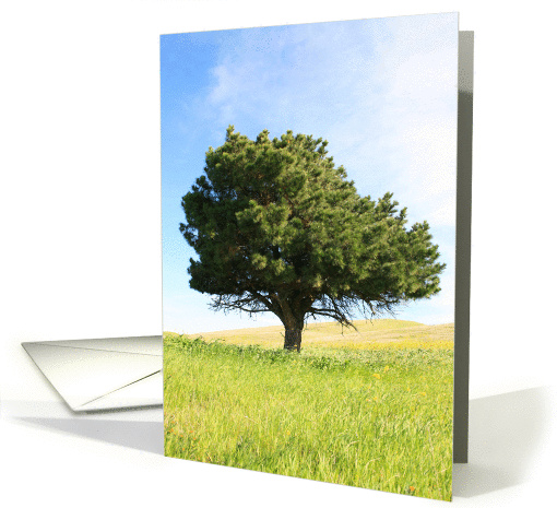 Single Tree card (321856)