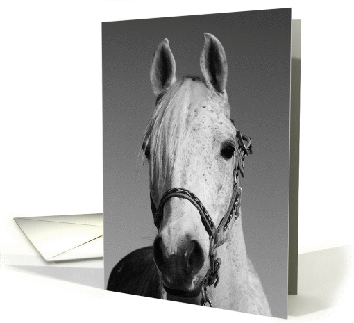 White Horse card (365655)