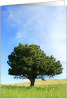 Happy Birthday Tree card