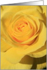 Happy Birthday Rose Flower card