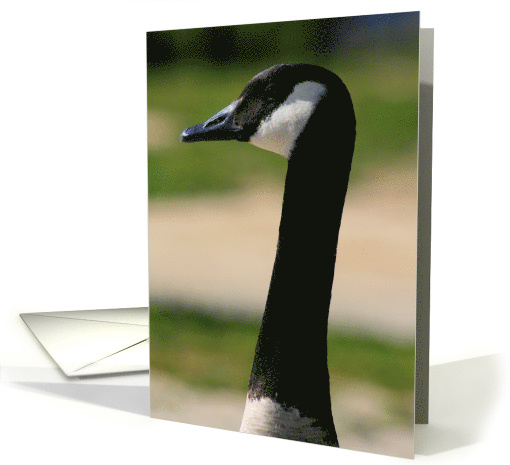 Thank You Canadian Goose Portrait card (499396)