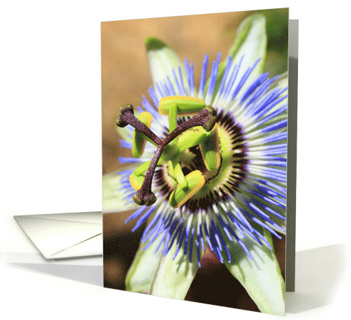Thank You Passion Flower card (499448)