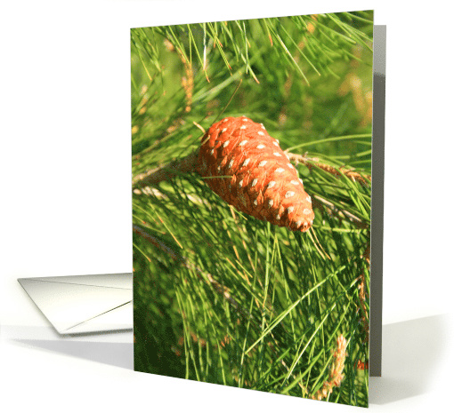Thank You Pine Cone card (499478)