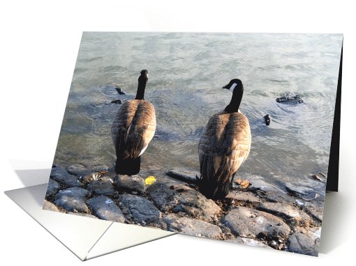 Thank You Two Canadian Geese card (502155)