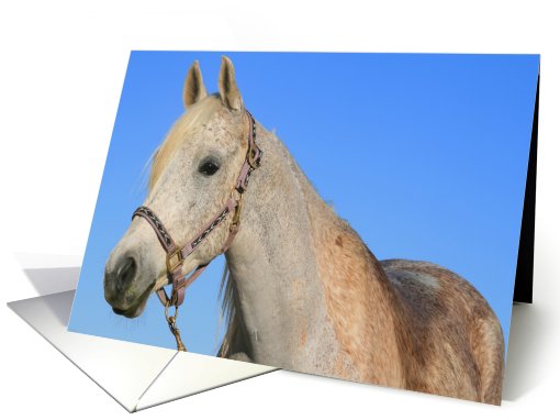 Thank You White Horse card (502156)