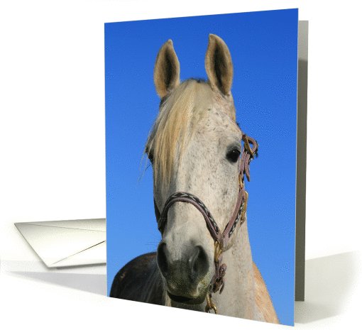 Thank You White Horse card (502157)