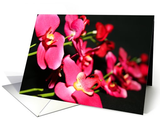 Thank You Pink Orchids card (502166)