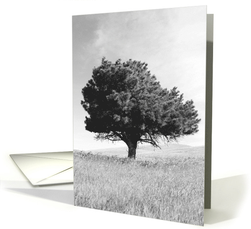 Thank You Lone Tree card (503248)