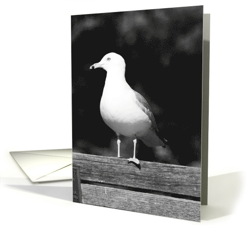 Thank You Seagull card (503304)