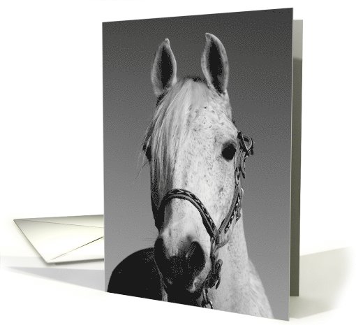 Thank You White Horse card (503307)