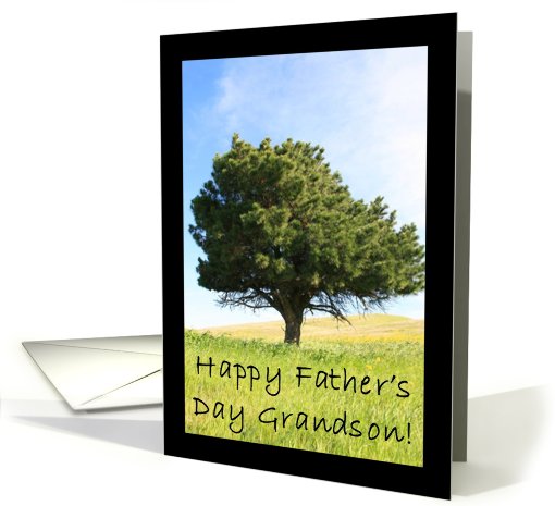 Happy Father's Day Grandson card (584668)