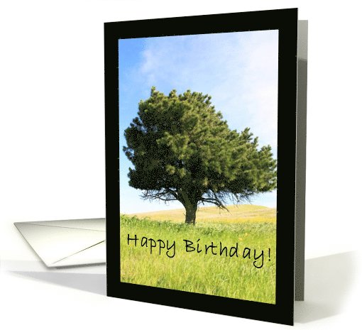Happy Birthday Tree card (584683)