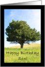 Happy Birthday Son Tree card