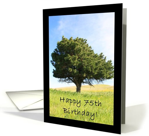 Happy 75th Birthday Tree card (584712)