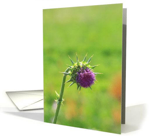 Happy Birthday Wild flower card (636663)