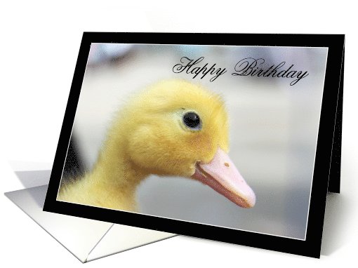Happy Birthday Yellow Duckling card (809038)
