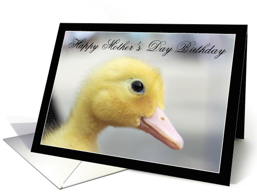Happy Mother's Day Birthday Yellow Duckling card (809045)