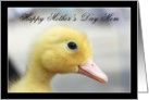 Happy Mother’s Day Mom Yellow Duckling card