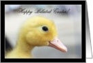 Happy Belated Easter Yellow Duckling card