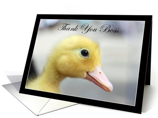 Thank You Boss Yellow Duckling card (812310)
