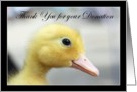 Thank You for your donation Yellow Duckling card