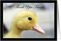 Thank You friend Yellow Duckling card