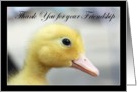 Thank You for your friendship Yellow Duckling card