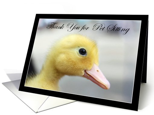 Thank You for your Pet Sitting Yellow Duckling card (813342)