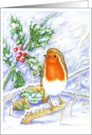 Christmas Robin card