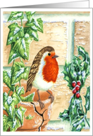 Christmas Robin card
