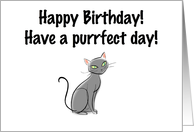 Birthday cat card