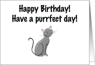 Birthday cat