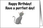 Birthday cat card