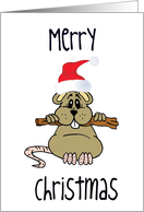 Christmas mouse card