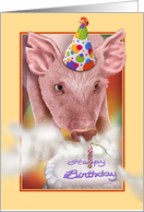 Happy Birthday Pig card