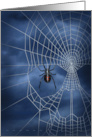 Black Widow Halloween Skull Spider Web card