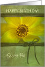 BIRTHDAY, SECRET PAL, YELLOW DAISY,GREEN TEXTURE-LIKE, TIE card