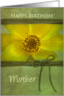 BIRTHDAY, Mother , YELLOW DAISY on GREEN TEXTURED BACKGROUND card